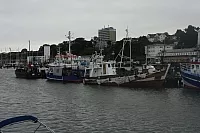 18.08.2013 18:38:29
18. August 2013
Ostsee 2013
Ostsee-Fotos
Foto-Gallerie