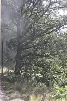 24.08.2013 13:18:09
Rasender Roland
Ostsee 2013
Ostsee-Fotos
Foto-Gallerie