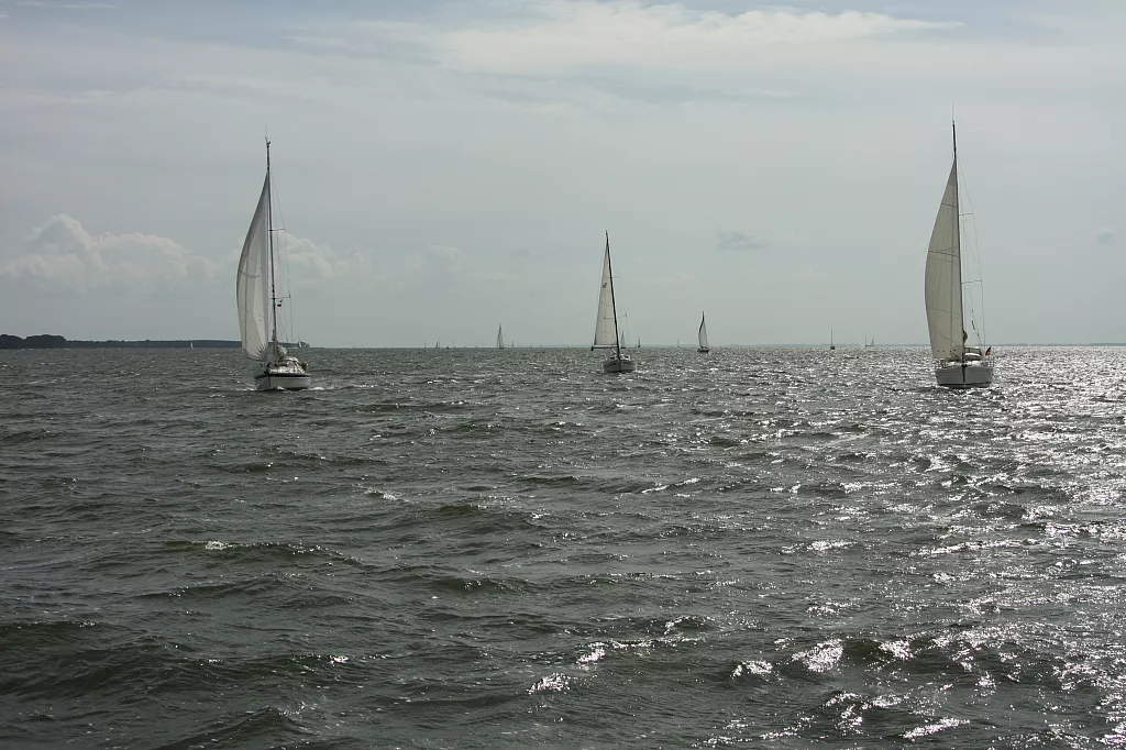 © R.Thiel
10.08.2014 11:17:48
August 2014
Ostsee-Fotos
Foto-Gallerie © R.Thiel
10.08.2014 11:17:48
August 2014
Ostsee-Fotos
Foto-Gallerie