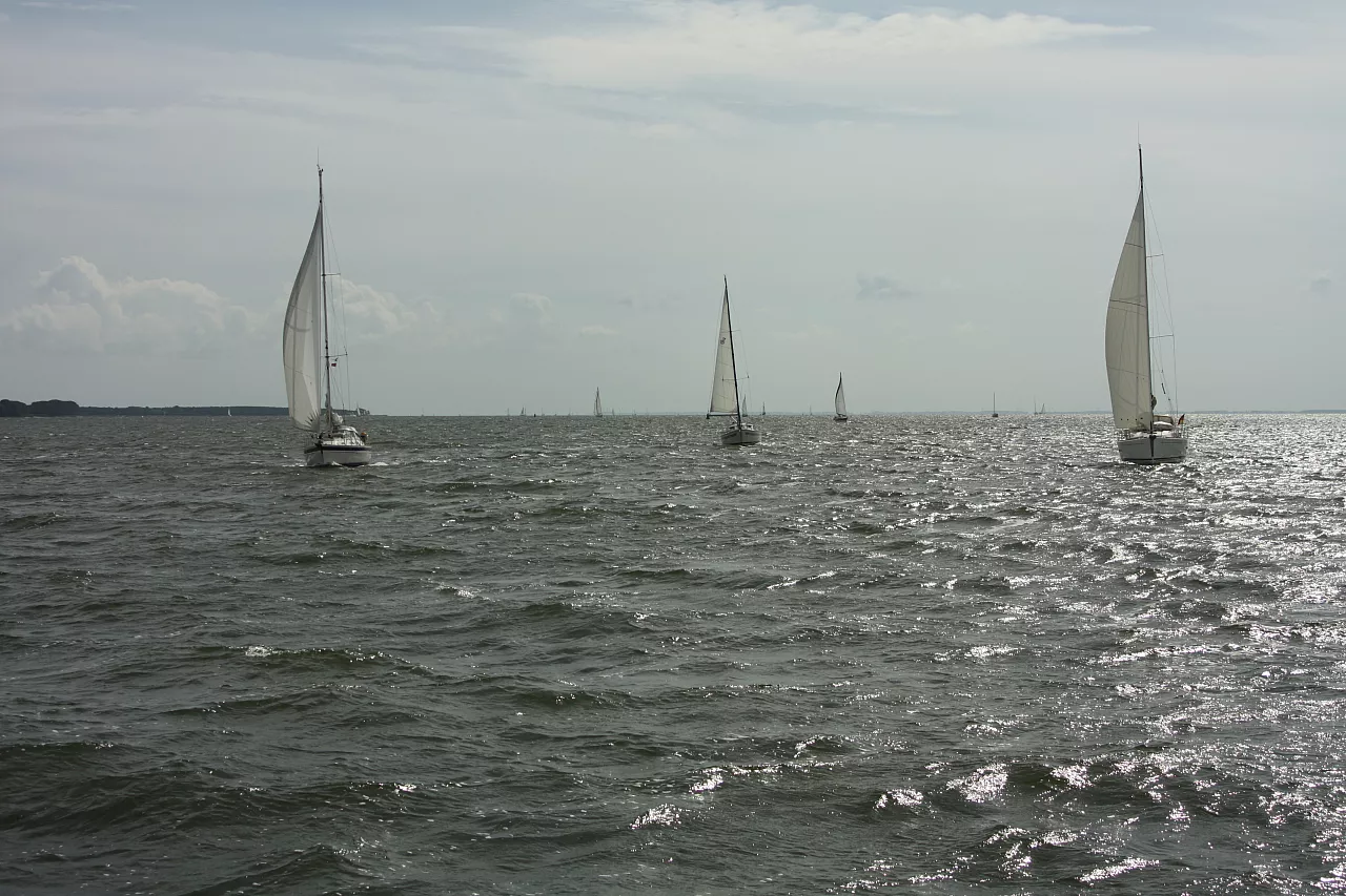 © R.Thiel
10.08.2014 11:17:48
August 2014
Ostsee-Fotos
Foto-Gallerie © R.Thiel
10.08.2014 11:17:48
August 2014
Ostsee-Fotos
Foto-Gallerie