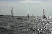 10.08.2014 11:17:48
August 2014
Ostsee-Fotos
Foto-Gallerie