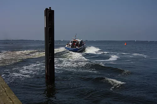 © R.Thiel
08.08.2014 13:27:44
August 2014
Ostsee-Fotos
Foto-Gallerie © R.Thiel
08.08.2014 13:27:44
August 2014
Ostsee-Fotos
Foto-Gallerie