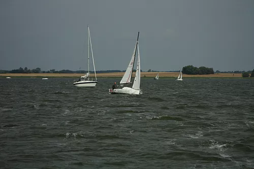 © R.Thiel
10.08.2014 11:19:28
August 2014
Ostsee-Fotos
Foto-Gallerie