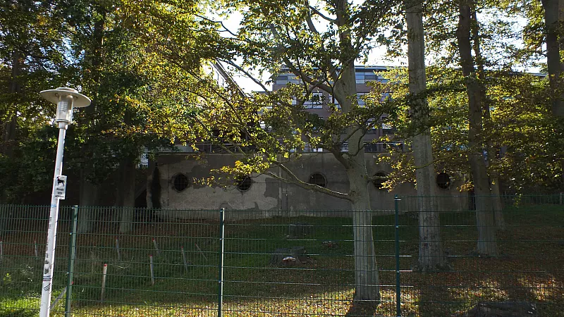 © R.Thiel
10.10.2020 13:34:51
Stralsund 2020
Ostsee-Fotos
Foto-Gallerie