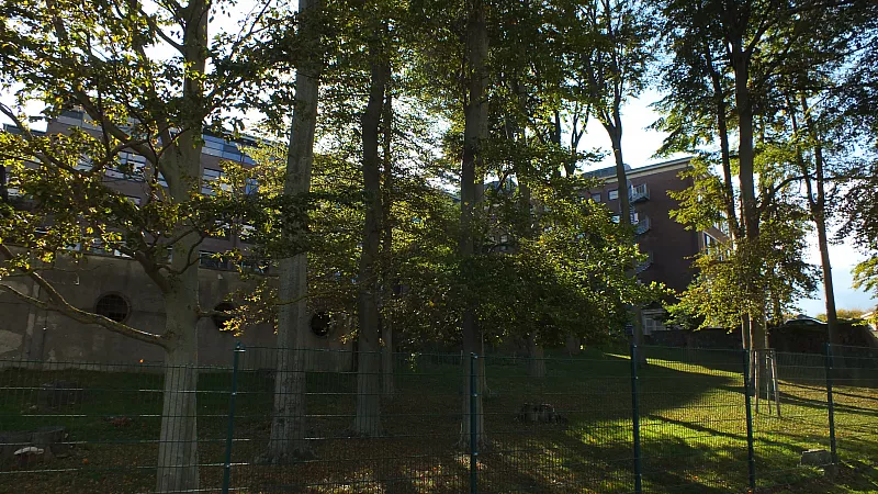 © R.Thiel
10.10.2020 13:35:11
Stralsund 2020
Ostsee-Fotos
Foto-Gallerie