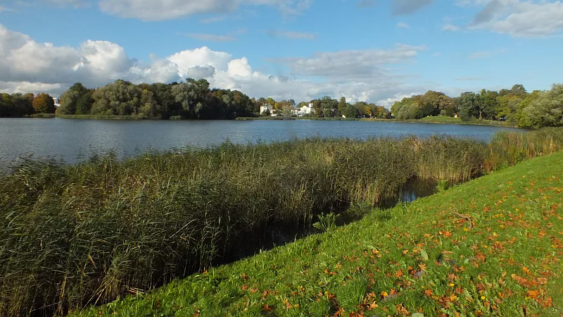 © R.Thiel
10.10.2020 14:17:23
Stralsund 2020
Ostsee-Fotos
Foto-Gallerie